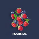 Maximus 100 gram thumbnail