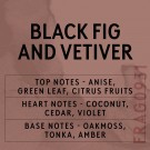 La 'Black Fig and Vetiver' duftolje bringe en kjølig, jordnær aura inn i hjemmet ditt – inspirert av en vårtur blant frodige felter. thumbnail