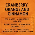 Cranberry, Orange & Cinnamon 100 gram thumbnail