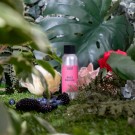 Duftvoks - Baies Sauvage thumbnail