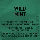 Wild Mint 100 gram thumbnail