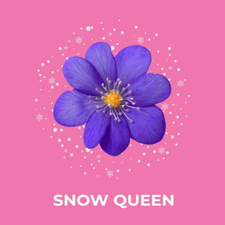 Duftvoks - Snow Queen
