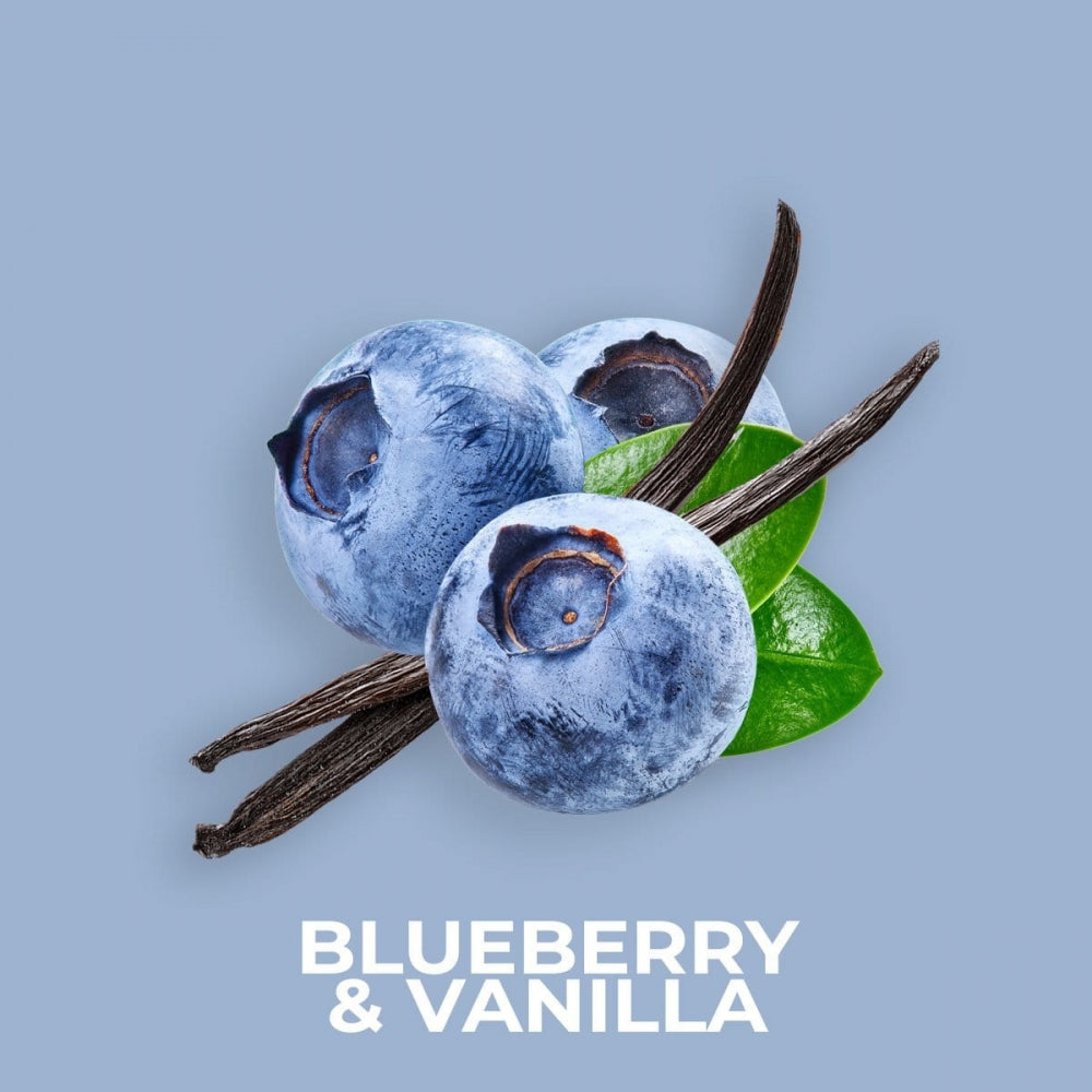 Blåbær og vaniljestenger med grønne blader på lys blå bakgrunn, for Blueberry & Vanilla duftolje