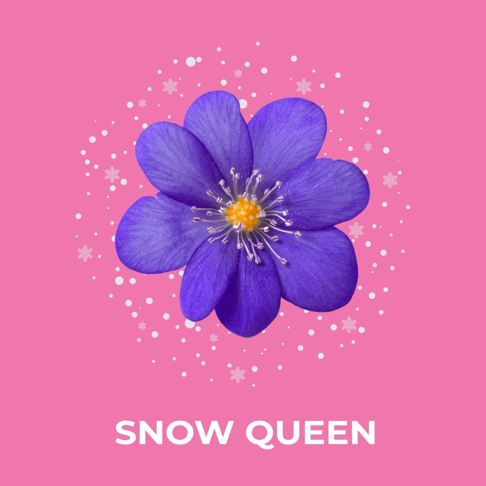 Duftvoks - Snow Queen