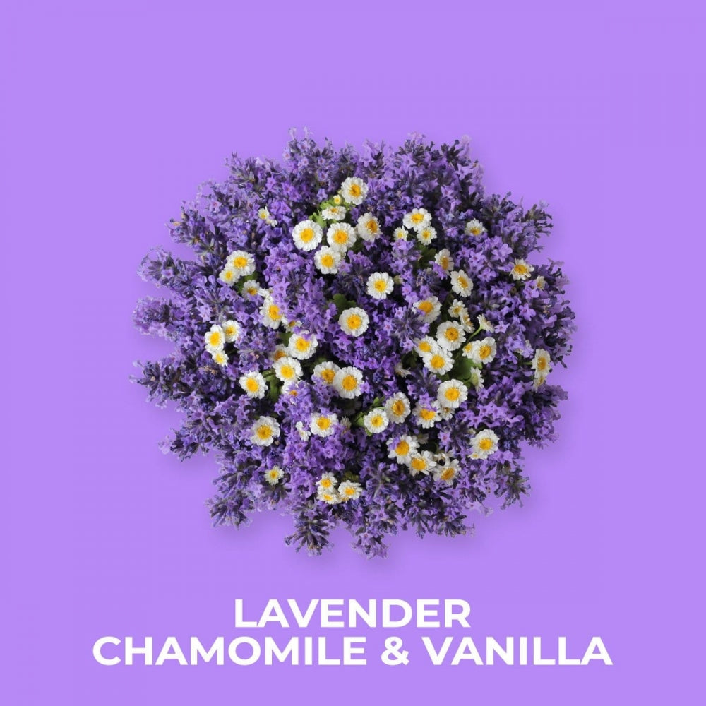 Topputsikt av en rund bukett med lilla lavendel og hvite kamilleblomster på lilla bakgrunn