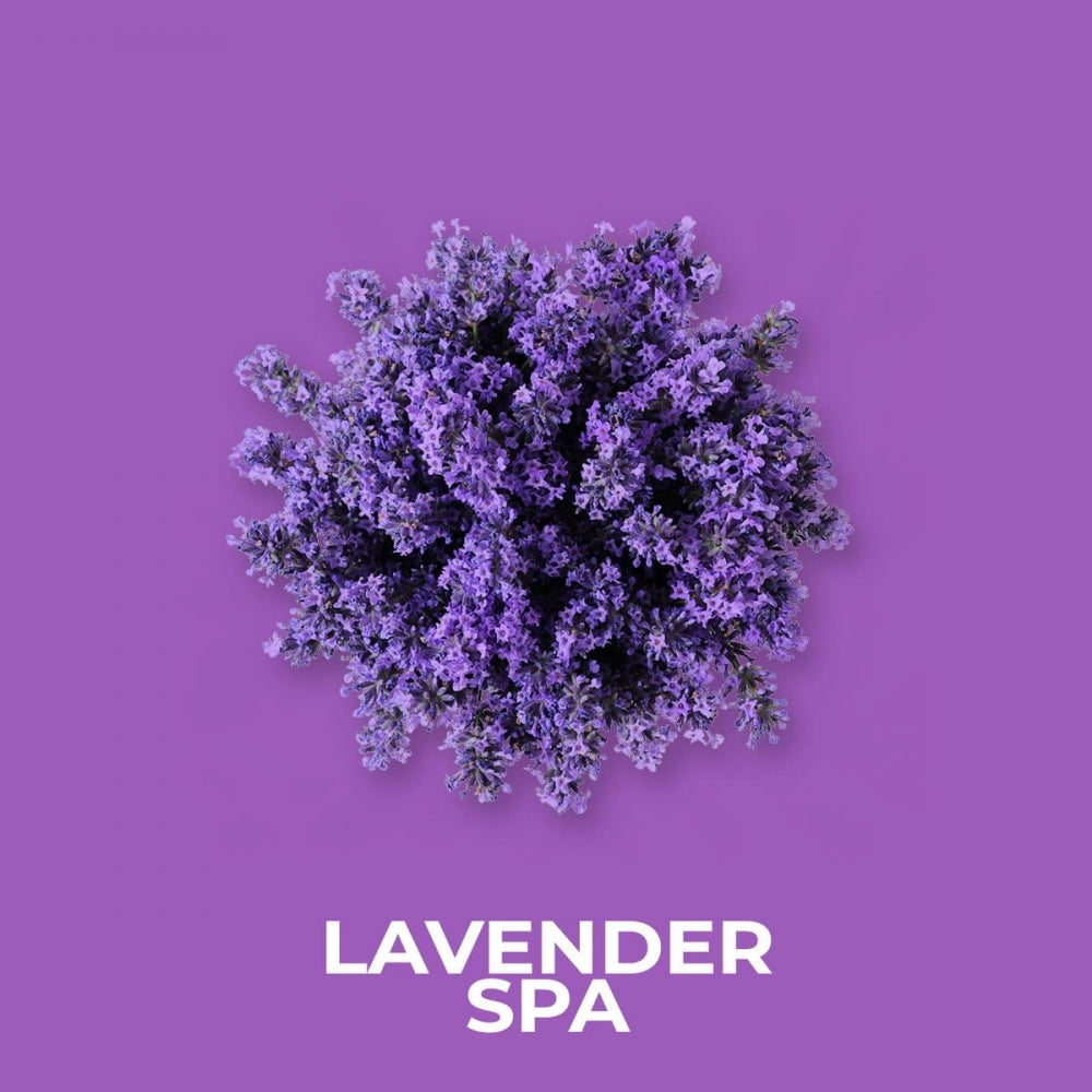 Lilla lavendelblomster på en lilla bakgrunn med teksten "LAVENDER SPA" i hvitt