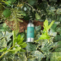 Wild Mint 100 gram